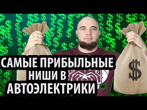 НИШИ В АВТОЭЛЕКТРИКИ