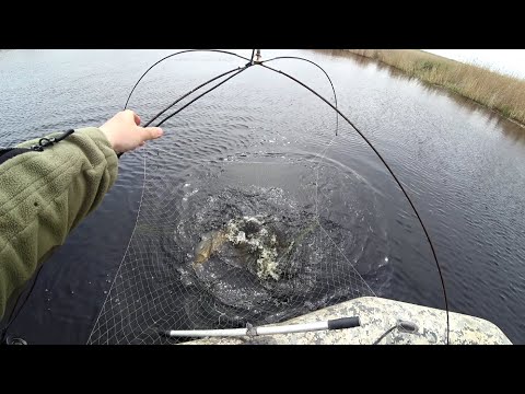 Нашел глубокую яму посреди болота и давай их таскать.
