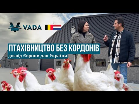 Птахівництво без кордонів: досвід Європи для України