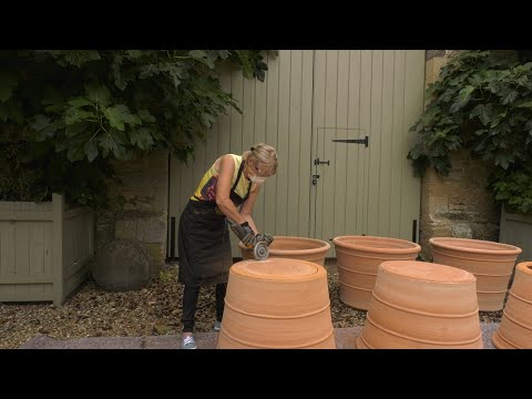 Baseless Plant Pots – the Ultimate Timesaver & Design Hack