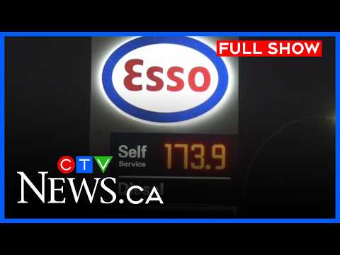 Gas prices should drop Wednesday: analyst | CTV Your Morning Edmonton for March 24, 2026