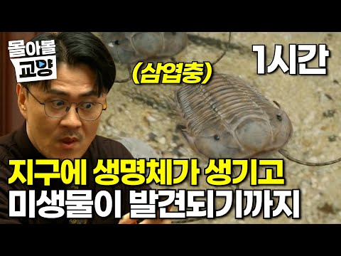 떼려야 뗄 수 없는 생명체와 미생물의 관계! 고생대에 출연한 삼엽충과 미생물들은 어떤 연관이 있을까? #몰아볼교양