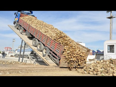 Extreme Dangerous Modern Dump Truck Operator Skills, Fastest Asphalt Paving Heavy Equipment Machines