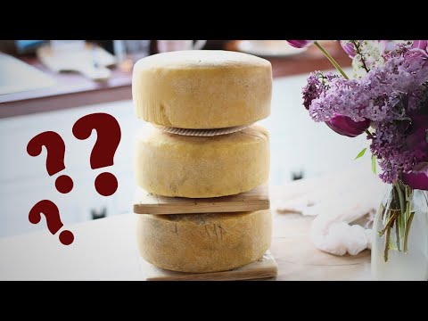 Parmesan: Which Culture Is Best?