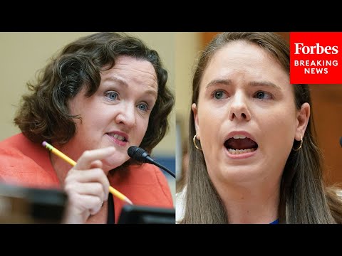 'How Dare You': Katie Porter Clashes With Pro-Gun Witness After Accusing Her Of Lying