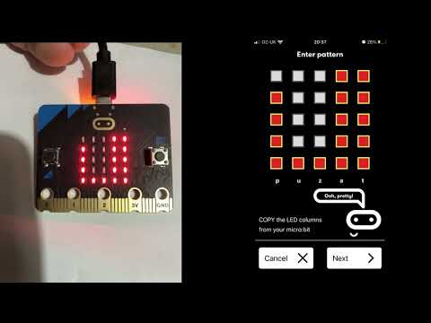 Introduction to using the Microbit and Minibit robot