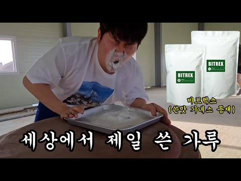 세상에서 가장 쓴 가루 먹이기ㅋㅋㅋ