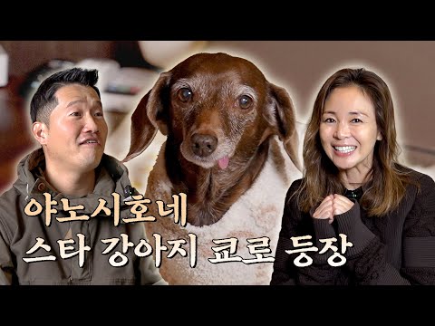 Just... way too cute [The Not Lonely Trainer EP.9]