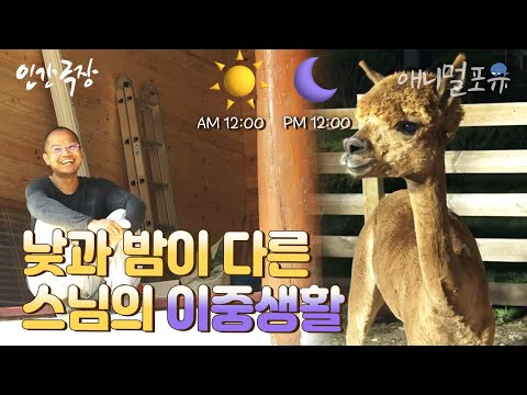 #인간극장레전드 I [풀버전] 뙤약볕 산골 아래서 공사하고 알파카 머리도 깎아주는 투잡 스님 I 인도 스님이 산 속으로 간 까닭은 l KBS 인간극장 2013 방송