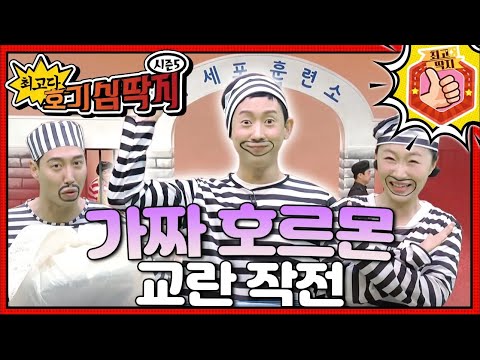 배달 음식 속에서 튀어나온 가짜 호르몬, 진짜 호르몬을 흉내 내며 교란 작전을 펼친다!ㅣ최고다! 호기심 딱지ㅣ가짜 호르몬 교란 작전