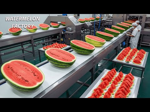 Inside a High-Tech Fresh-Cut Fruit Factory (ASMR): Watermelon Processing Line