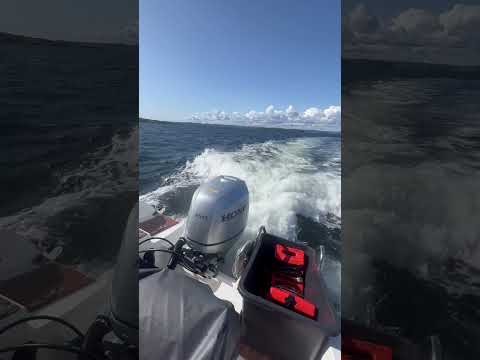 Nice day in Norway☀️#fishing #shorts #norway #sea