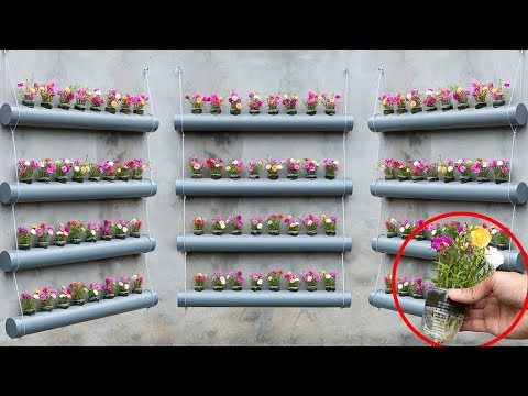 Make your own beautiful Moss Rose flower garden in plastic tubes, cheap home decoration