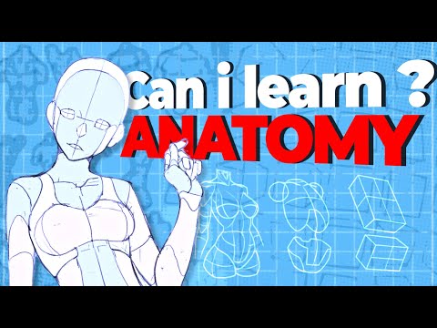 I Tried Learning Anatomy in 7 Days