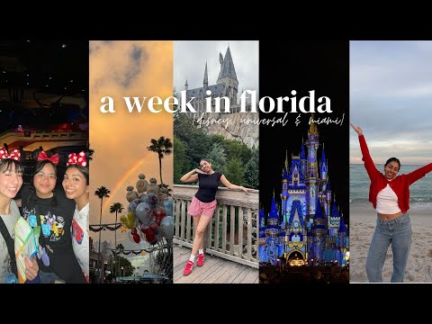 a week in florida | disney world, universal studios & miami