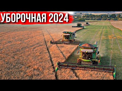 ДИРЕКТОР ИДЁТ НАВСТРЕЧУ