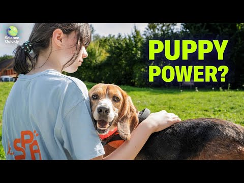 CDC Vaccine Panel, Satellite Light Pollution, Puppy Power