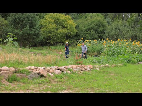 Village family life. Beginning to build a fence. Cozy dinners in the gazebo