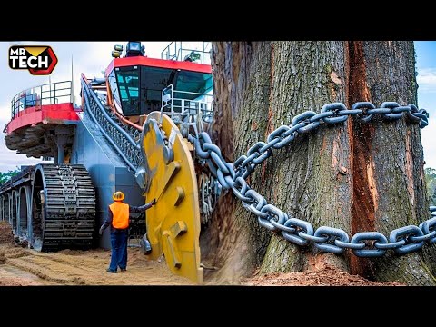 Extreme Dangerous Fastest Big Chainsaw Cutting Tree Machines | Monster Stump Removal Excavator #13