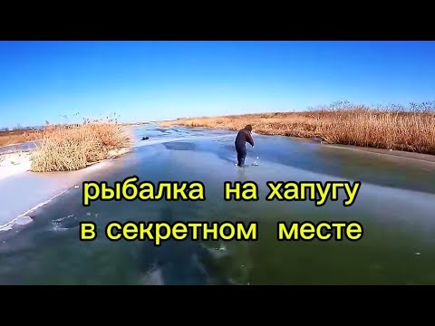 In 40 minutes, a basin of fish, fishing for a grabber in Korea #fishing #낚시 #fishing #review #movie