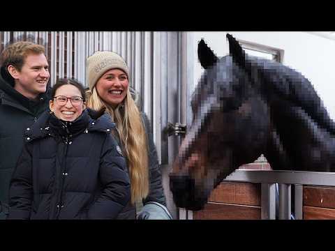 Who will be our breeding stallion?