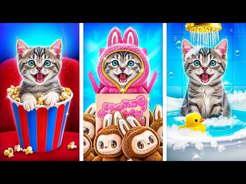 Sauvez ce Petit Chat! Astuces Secrètes pour les Propriétaires d'Animaux!