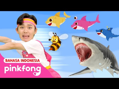 Lari! Ada Hiu! | Kumpulan Series Main Bareng Hoi | Kartun Anak | Pinkfong Indonesia