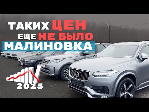 MALINOVKA CAR MARKET, prices like these have never been seen before! The resellers are going to t...