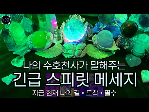 [타로]🦋내가 들어야하는 🚨긴급 메세지🚨 🦷사이킥 리딩🔮