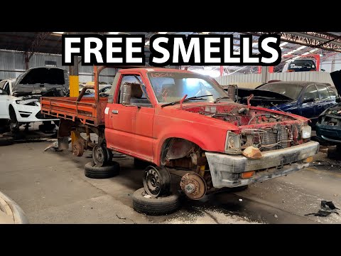🦘 Australian Junkyard Adventure 🇦🇺
