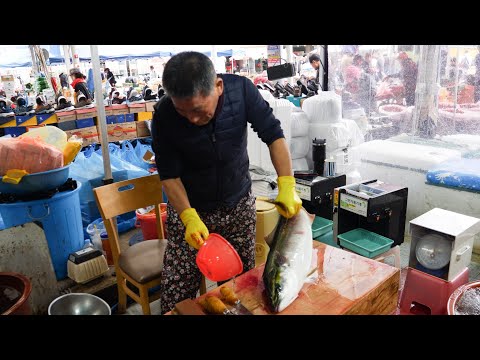 10kg 넘는 겨울철 대방어를 순식간에 썰어 버리는 남창 칼잡이 횟썰기  대방어 ,밀치,도다리, 광어, 뱀장어 ,꼼장어 korean sashimi master