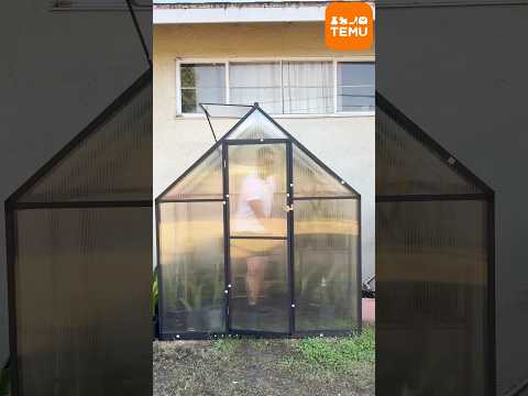 Affordable GreenHouse For Your Garden From TEMU #garden #gardening #dragonfruit