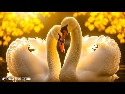 ВОССТАНОВЛЕНИЕ НЕРВНОЙ СИСТЕМЫ! СНОВА ОСЕНЬ!ХРУСТАЛЬНЫЕ СЛЁЗЫ ОСЕНИ. Музыка Для Души#relaxmusic