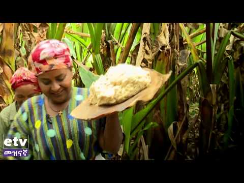 #EBC  "ውሎ አዳር" የም ልዩ ወረዳ ፎፋ ከተማ በወ/ሮ ዳመነች ወ/ጊዩርጊስ መኖሪያ ቤት የተደረገ ውሎ አዳር