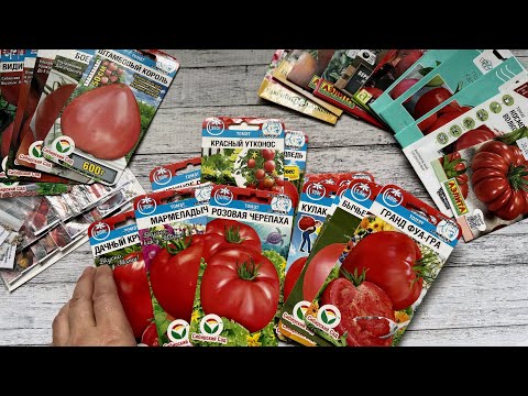 ЭТИ СОРТА ВСЕГДА ДАЮТ ОТМЕННЫЙ УРОЖАЙ!