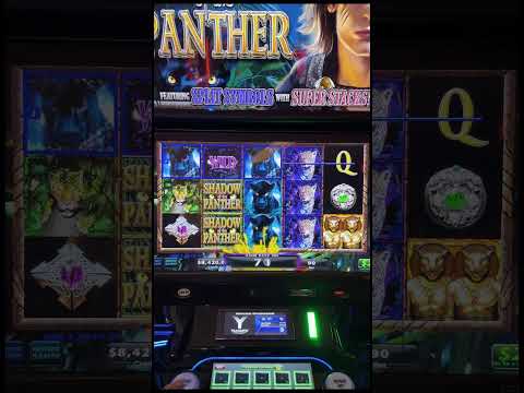 Day 89: Betting $1 Million to WIN $1 Million #casino #slot #bonus #jackpot