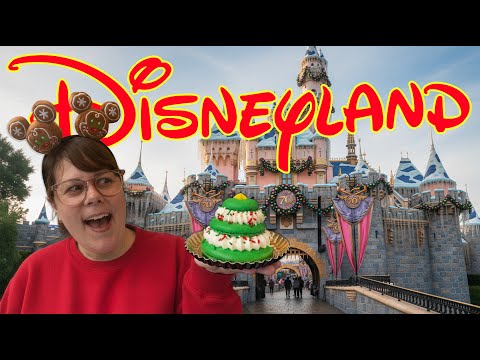Disneyland Christmas Opening Day Did Not Go As Planned!