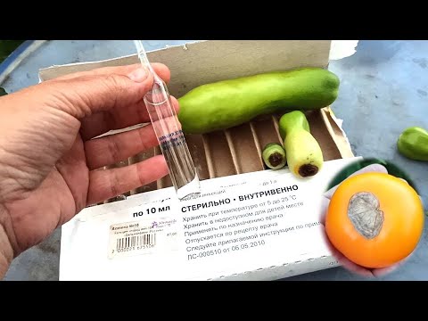 ВСЕГО ОДНО ОПРЫСКИВАНИЕ ТОМАТОВ И ВЕРШИННОЙ ГНИЛИ НА ПОМИДОРАХ  НЕ БУДЕТ. Кальция хлорид для помидор