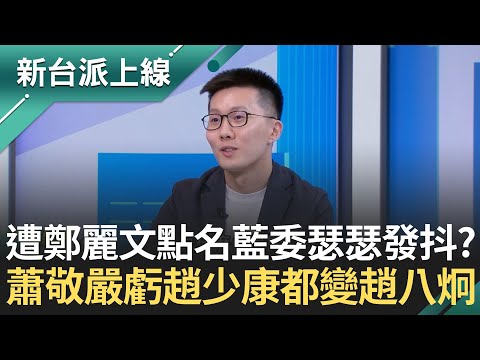 崩潰的是趙少康！要鄭麗文「別扯後腿」傳基層焦慮想退黨？蕭敬嚴揭黨員結構笑虧：連趙少康都變綠的XD 黃國昌快出事了？2/1成立競辦遭疑延長司法保護傘｜李正皓 主持｜【新台派上線 完整版】20251020