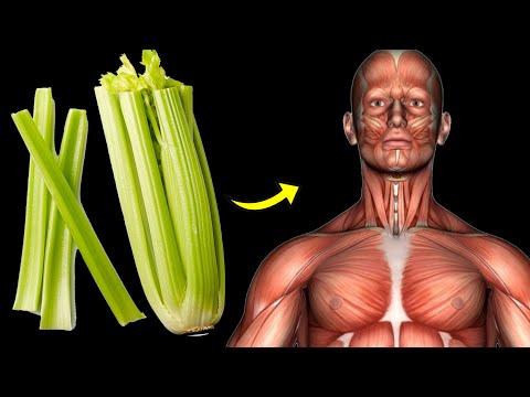 What Happens To Your Body When You Eat Celery Everyday