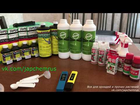 Обзор Виталайзеров