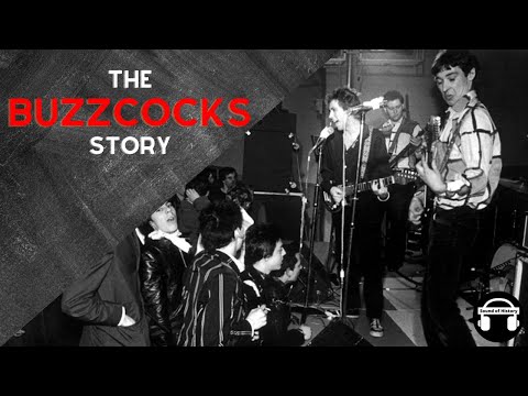 How Buzzcocks changed the world
