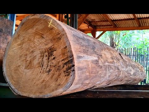 "SUPER TEAK LOCKS, A Legacy of the Ancestors of All Fibers (GALIH)" at the Sawmill