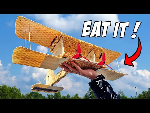Can airplanes made of Food FLY