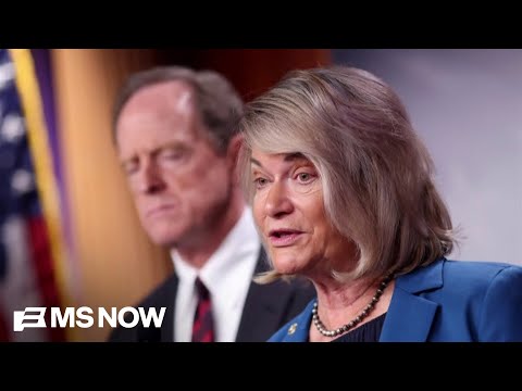 'I see what the big deal is': Republican senator reacts to Epstein files