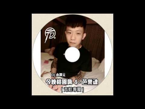 Dj 小澤元 - 今晚桃園嗨 4 - 芭樂魂 [ 維維專屬 ]