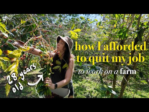 how much money I saved before quitting my 9-5 to work on a farm