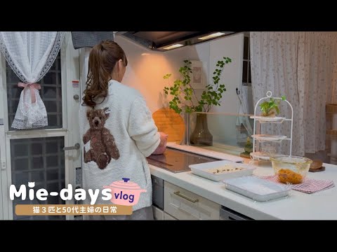 Thank you for this year, mie-days｜Life with 3 cats during my husband’s night shifts