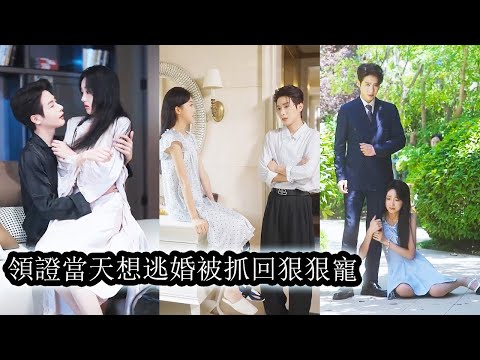 She woke up on the day she married her cold husband—terrified to repeat the past, she fled.