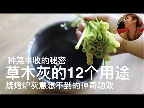 12 uses of plant ash | Unexpected magical effects of grill ash | 12 uses of vegetable ash